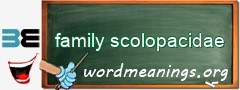 WordMeaning blackboard for family scolopacidae